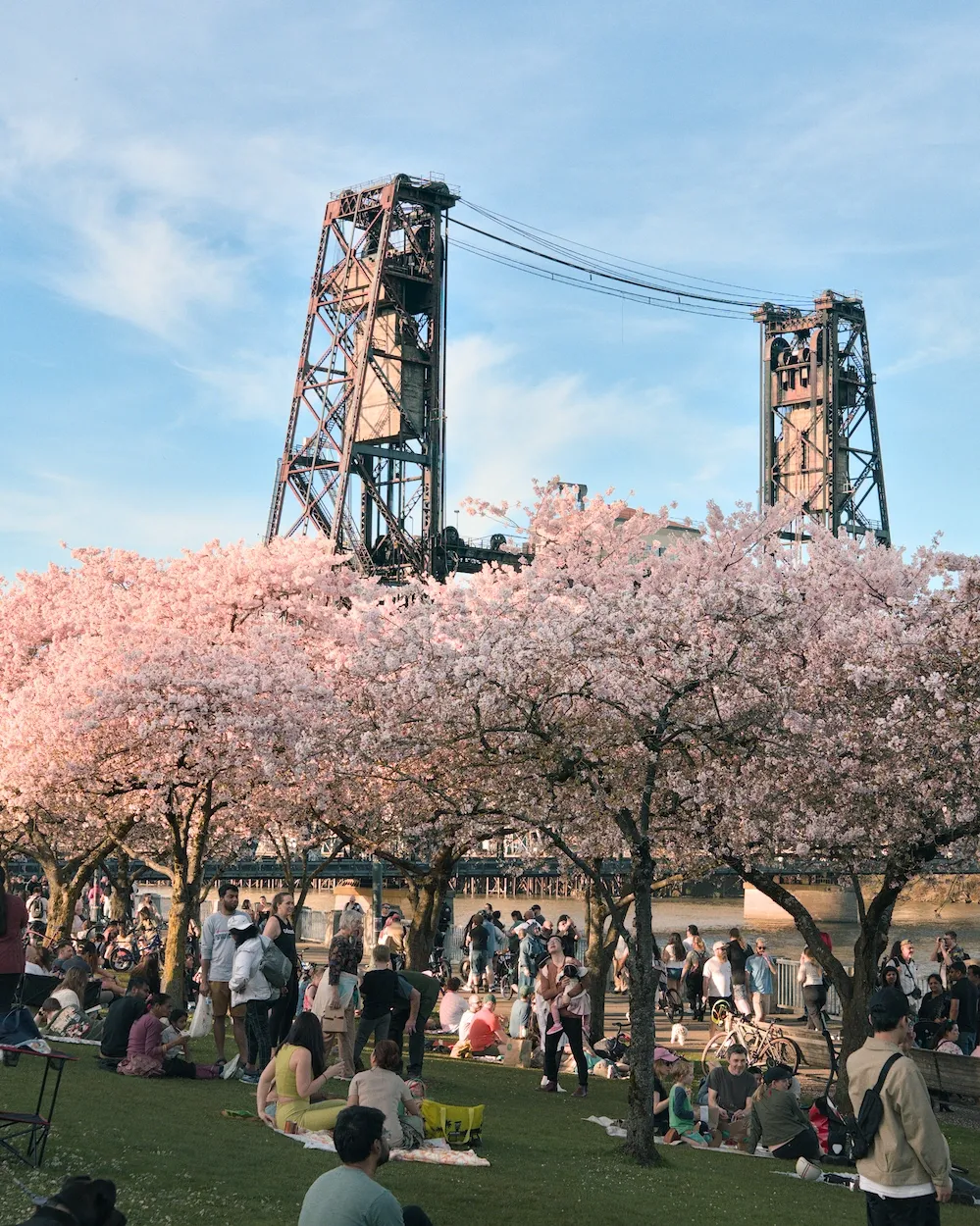 Two days before it was cold and rainy. The day after there was a thunderstorm and hail warning. Tuesday though was 80F and sunny, perfect for hanami with the whole family.